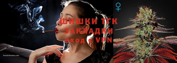 ГАЛЛЮЦИНОГЕННЫЕ ГРИБЫ Арсеньев