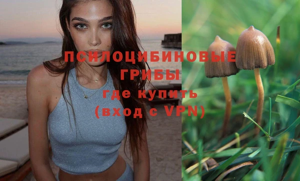 ГАЛЛЮЦИНОГЕННЫЕ ГРИБЫ Арсеньев