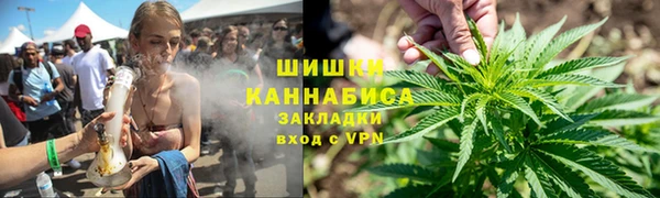 a pvp Аркадак