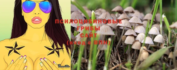 ГАЛЛЮЦИНОГЕННЫЕ ГРИБЫ Арсеньев