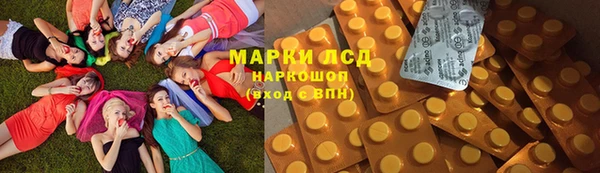 ГАЛЛЮЦИНОГЕННЫЕ ГРИБЫ Арсеньев