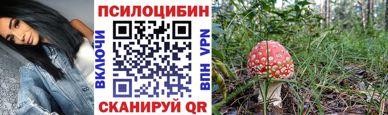 Псилоцибиновые грибы MAGIC MUSHROOMS  Никольское 